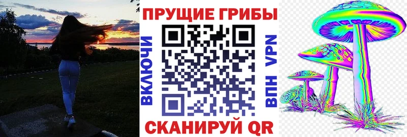 цены наркотик hydra вход Псилоцибиновые грибы ЛСД Северо-Курильск